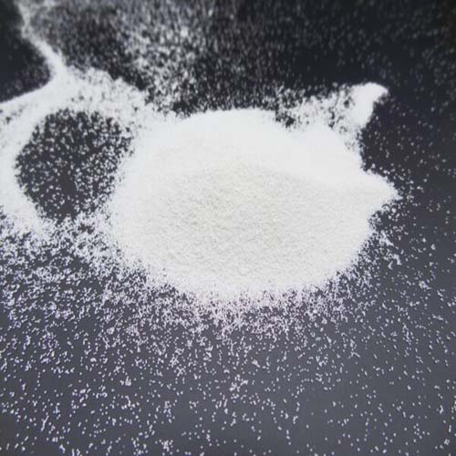 DSC02430_کپی-600x450